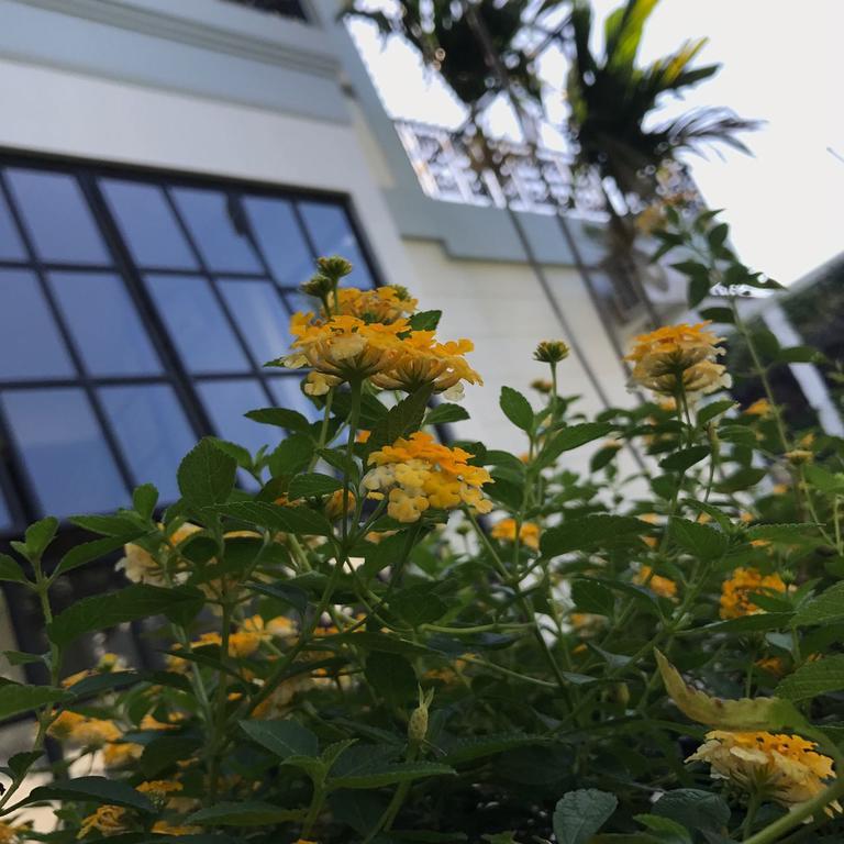 Rumah Kertajaya Surabaja Exteriér fotografie